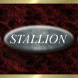 image of stallion button